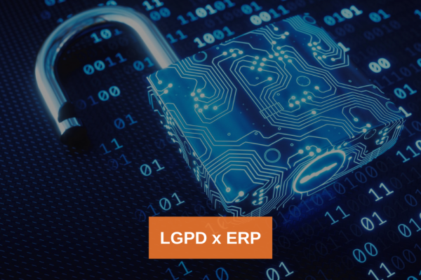 LGPD x ERP 